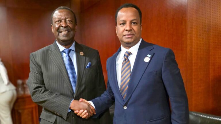 Kenya's Prime Cabinet Secretary Musalia Mudavadi and Somalia's Foreign Affairs Minister Abdisalam Abdi Ali during bilateral talks in Addis Ababa, where the two countries agreed to strengthen cooperation on migration, immigration and consular services. Asal Post