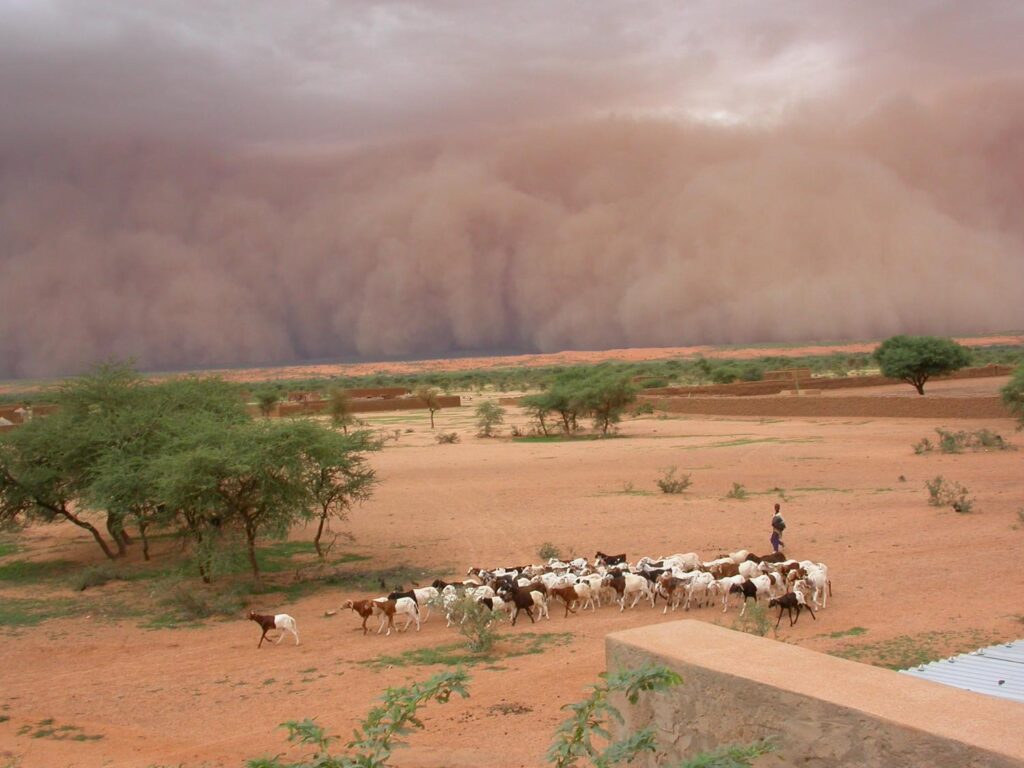 KENYA MET WARNS OF RAIN AND STRONG WINDS ACROSS NORTHERN KENYA AS NATIONWIDE WEATHER SHIFTS. Northern Kenya Weather Outlook: Kenya Met forecasts rainfall and strong winds across Garissa, Wajir, Mandera, Marsabit, Isiolo and Turkana, as several other parts of the country also experience changing weather conditions. Photo (Handout)